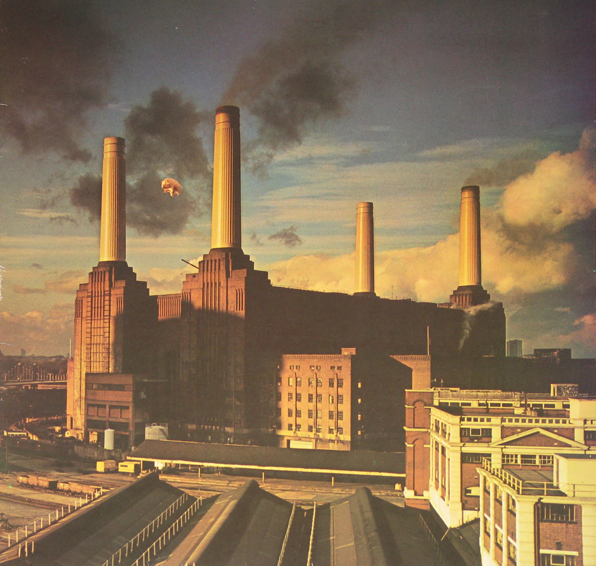 High Resolution Photo #1 PINK FLOYD animals netherlands 